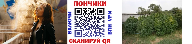 Бошки Шишки конопля  Могоча 